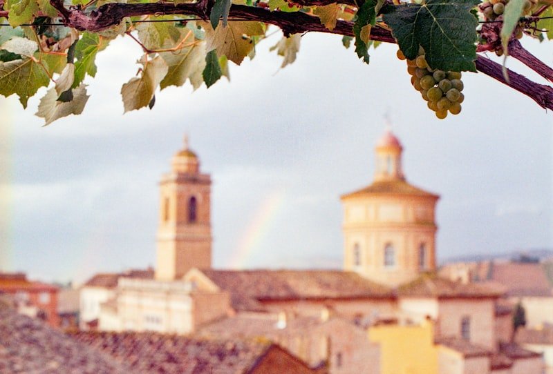 Sicilian vineyard landscape — Etna DOC wine region